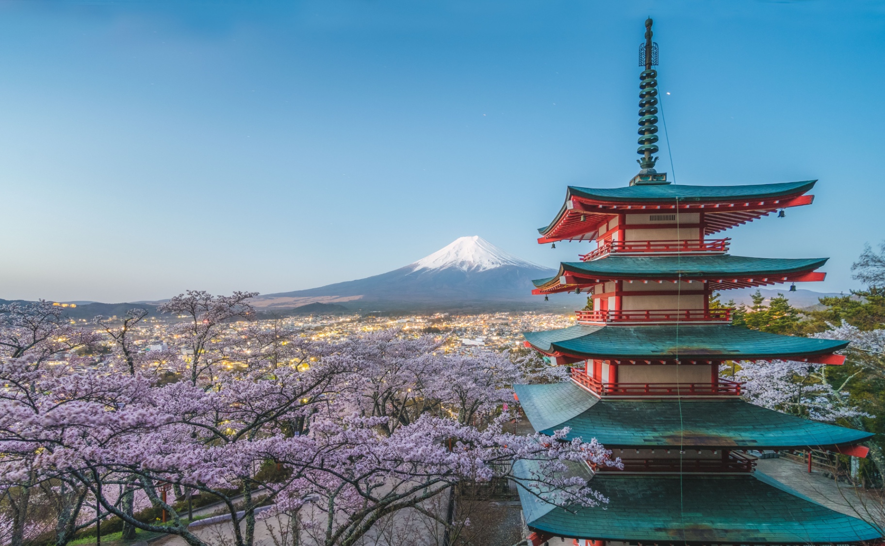 Chureito pagoda and Mount Fuji above cherry blossom at dusk