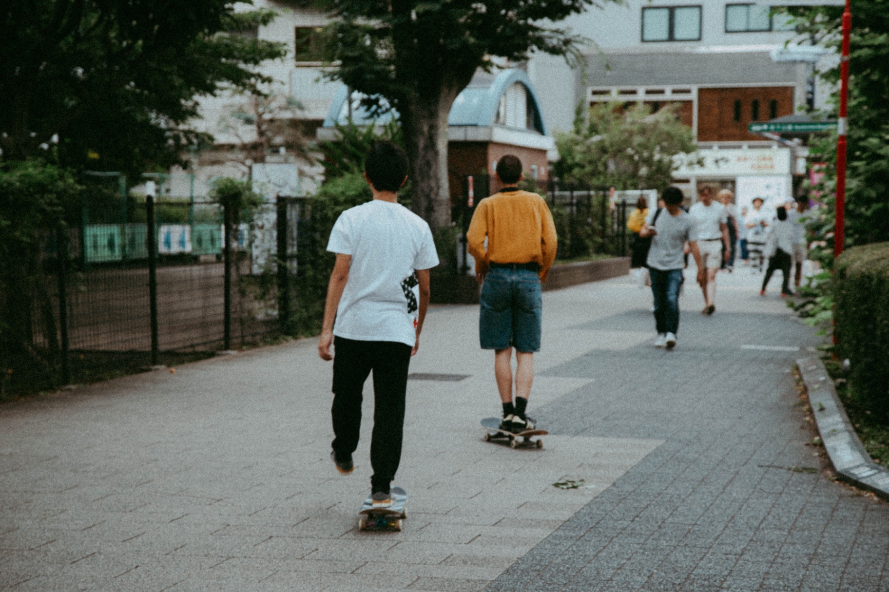 Two skaters cruising a tree-lined Tokyo street
